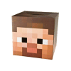 Minecraft Cardboard Steve Head