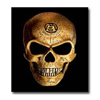 Omega Skull