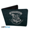 HARRY POTTER - denarnica - Hogwarts - vinil