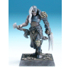 Chaos Champion