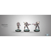 Dakini Tactbots (HMG)