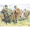 Roman Cavalry