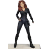 Iron Man 2 Model Kit 1/8 Black Widow