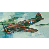 Micro Wings P-40E Warhawk