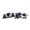 Striders Unit Box