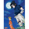 NARUTO - Plakat Naruto & Sasuke
