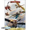 DRAGONS - poster - Riders of Berk (98x68)