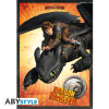 DRAGONS - poster - Dragon Master (98x68)