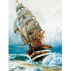 Amerigo Vespucci